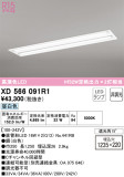 ODELIC ǥå ١饤 XD566091R1þʾLEDη¡ʰΡѤ䡡Ҹ -LIGHTING DEPOT-