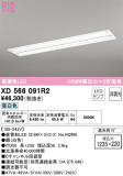 ODELIC ǥå ١饤 XD566091R2þʾLEDη¡ʰΡѤ䡡Ҹ -LIGHTING DEPOT-