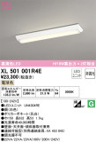 ODELIC ǥå ١饤 XL501001R4EþʾLEDη¡ʰΡѤ䡡Ҹ -LIGHTING DEPOT-