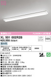 ODELIC ǥå ١饤 XL501002R2BþʾLEDη¡ʰΡѤ䡡Ҹ -LIGHTING DEPOT-