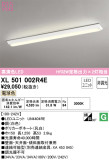 ODELIC ǥå ١饤 XL501002R4EþʾLEDη¡ʰΡѤ䡡Ҹ -LIGHTING DEPOT-