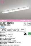 ODELIC ǥå ١饤 XL501002R5CþʾLEDη¡ʰΡѤ䡡Ҹ -LIGHTING DEPOT-