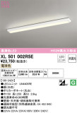 ODELIC ǥå ١饤 XL501002R5EþʾLEDη¡ʰΡѤ䡡Ҹ -LIGHTING DEPOT-