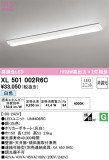 ODELIC ǥå ١饤 XL501002R6CþʾLEDη¡ʰΡѤ䡡Ҹ -LIGHTING DEPOT-