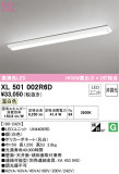 ODELIC ǥå ١饤 XL501002R6DþʾLEDη¡ʰΡѤ䡡Ҹ -LIGHTING DEPOT-