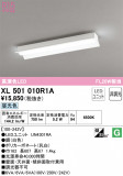 ODELIC ǥå ١饤 XL501010R1AþʾLEDη¡ʰΡѤ䡡Ҹ -LIGHTING DEPOT-