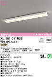 ODELIC ǥå ١饤 XL501011R2EþʾLEDη¡ʰΡѤ䡡Ҹ -LIGHTING DEPOT-