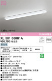 ODELIC ǥå ١饤 XL501060R1AþʾLEDη¡ʰΡѤ䡡Ҹ -LIGHTING DEPOT-