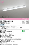 ODELIC ǥå ١饤 XL501060R1BþʾLEDη¡ʰΡѤ䡡Ҹ -LIGHTING DEPOT-