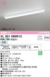 ODELIC ǥå ١饤 XL501060R1CþʾLEDη¡ʰΡѤ䡡Ҹ -LIGHTING DEPOT-