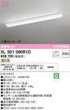 ODELIC ǥå ١饤 XL501060R1DþʾLEDη¡ʰΡѤ䡡Ҹ -LIGHTING DEPOT-