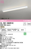 ODELIC ǥå ١饤 XL501060R1EþʾLEDη¡ʰΡѤ䡡Ҹ -LIGHTING DEPOT-