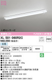 ODELIC ǥå ١饤 XL501060R2CþʾLEDη¡ʰΡѤ䡡Ҹ -LIGHTING DEPOT-