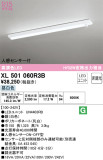 ODELIC ǥå ١饤 XL501060R3BþʾLEDη¡ʰΡѤ䡡Ҹ -LIGHTING DEPOT-