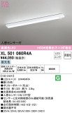 ODELIC ǥå ١饤 XL501060R4AþʾLEDη¡ʰΡѤ䡡Ҹ -LIGHTING DEPOT-