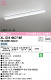 ODELIC ǥå ١饤 XL501060R4BþʾLEDη¡ʰΡѤ䡡Ҹ -LIGHTING DEPOT-