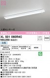 ODELIC ǥå ١饤 XL501060R4CþʾLEDη¡ʰΡѤ䡡Ҹ -LIGHTING DEPOT-