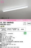 ODELIC ǥå ١饤 XL501060R4DþʾLEDη¡ʰΡѤ䡡Ҹ -LIGHTING DEPOT-