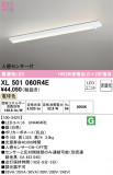 ODELIC ǥå ١饤 XL501060R4EþʾLEDη¡ʰΡѤ䡡Ҹ -LIGHTING DEPOT-