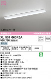 ODELIC ǥå ١饤 XL501060R5AþʾLEDη¡ʰΡѤ䡡Ҹ -LIGHTING DEPOT-