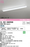 ODELIC ǥå ١饤 XL501060R5BþʾLEDη¡ʰΡѤ䡡Ҹ -LIGHTING DEPOT-