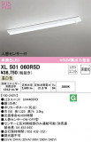 ODELIC ǥå ١饤 XL501060R5DþʾLEDη¡ʰΡѤ䡡Ҹ -LIGHTING DEPOT-