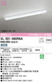 ODELIC ǥå ١饤 XL501060R6AþʾLEDη¡ʰΡѤ䡡Ҹ -LIGHTING DEPOT-