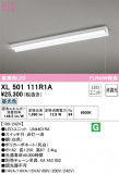 ODELIC ǥå ١饤 XL501111R1AþʾLEDη¡ʰΡѤ䡡Ҹ -LIGHTING DEPOT-