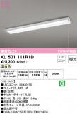 ODELIC ǥå ١饤 XL501111R1DþʾLEDη¡ʰΡѤ䡡Ҹ -LIGHTING DEPOT-