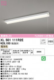 ODELIC ǥå ١饤 XL501111R2EþʾLEDη¡ʰΡѤ䡡Ҹ -LIGHTING DEPOT-