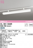 ODELIC ǥå ١饤 XL551034RþʾLEDη¡ʰΡѤ䡡Ҹ -LIGHTING DEPOT-