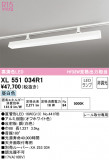 ODELIC ǥå ١饤 XL551034R1þʾLEDη¡ʰΡѤ䡡Ҹ -LIGHTING DEPOT-