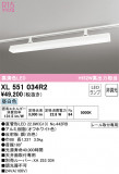 ODELIC ǥå ١饤 XL551034R2þʾLEDη¡ʰΡѤ䡡Ҹ -LIGHTING DEPOT-