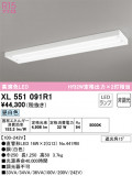 ODELIC ǥå ١饤 XL551091R1þʾLEDη¡ʰΡѤ䡡Ҹ -LIGHTING DEPOT-