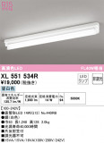 ODELIC ǥå ١饤 XL551534RþʾLEDη¡ʰΡѤ䡡Ҹ -LIGHTING DEPOT-