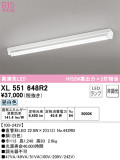 ODELIC ǥå ١饤 XL551648R2þʾLEDη¡ʰΡѤ䡡Ҹ -LIGHTING DEPOT-