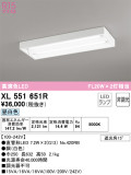 ODELIC ǥå ١饤 XL551651RþʾLEDη¡ʰΡѤ䡡Ҹ -LIGHTING DEPOT-