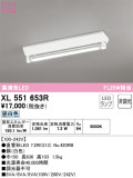 ODELIC ǥå ١饤 XL551653RþʾLEDη¡ʰΡѤ䡡Ҹ -LIGHTING DEPOT-