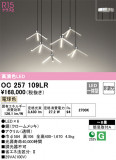 ODELIC ǥå ǥꥢ OC257109LRþʾLEDη¡ʰΡѤ䡡Ҹ -LIGHTING DEPOT-