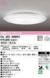 ODELIC ǥå 󥰥饤 OL251099R1þʾLEDη¡ʰΡѤ䡡Ҹ -LIGHTING DEPOT-