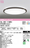 ODELIC ǥå 󥰥饤 OL251119R1þʾLEDη¡ʰΡѤ䡡Ҹ -LIGHTING DEPOT-