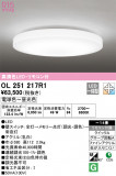 ODELIC ǥå 󥰥饤 OL251217R1þʾLEDη¡ʰΡѤ䡡Ҹ -LIGHTING DEPOT-