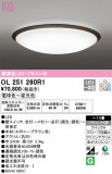 ODELIC ǥå 󥰥饤 OL251260R1þʾLEDη¡ʰΡѤ䡡Ҹ -LIGHTING DEPOT-