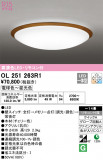 ODELIC ǥå 󥰥饤 OL251263R1þʾLEDη¡ʰΡѤ䡡Ҹ -LIGHTING DEPOT-