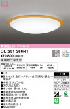 ODELIC ǥå 󥰥饤 OL251266R1þʾLEDη¡ʰΡѤ䡡Ҹ -LIGHTING DEPOT-