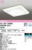 ODELIC ǥå 󥰥饤 OL251325R1þʾLEDη¡ʰΡѤ䡡Ҹ -LIGHTING DEPOT-