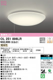 ODELIC ǥå 󥰥饤 OL251896LRþʾLEDη¡ʰΡѤ䡡Ҹ -LIGHTING DEPOT-