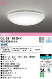 ODELIC ǥå 󥰥饤 OL251896NRþʾLEDη¡ʰΡѤ䡡Ҹ -LIGHTING DEPOT-