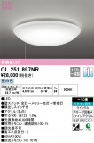 ODELIC ǥå 󥰥饤 OL251897NRþʾLEDη¡ʰΡѤ䡡Ҹ -LIGHTING DEPOT-