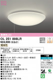 ODELIC ǥå 󥰥饤 OL251898LRþʾLEDη¡ʰΡѤ䡡Ҹ -LIGHTING DEPOT-